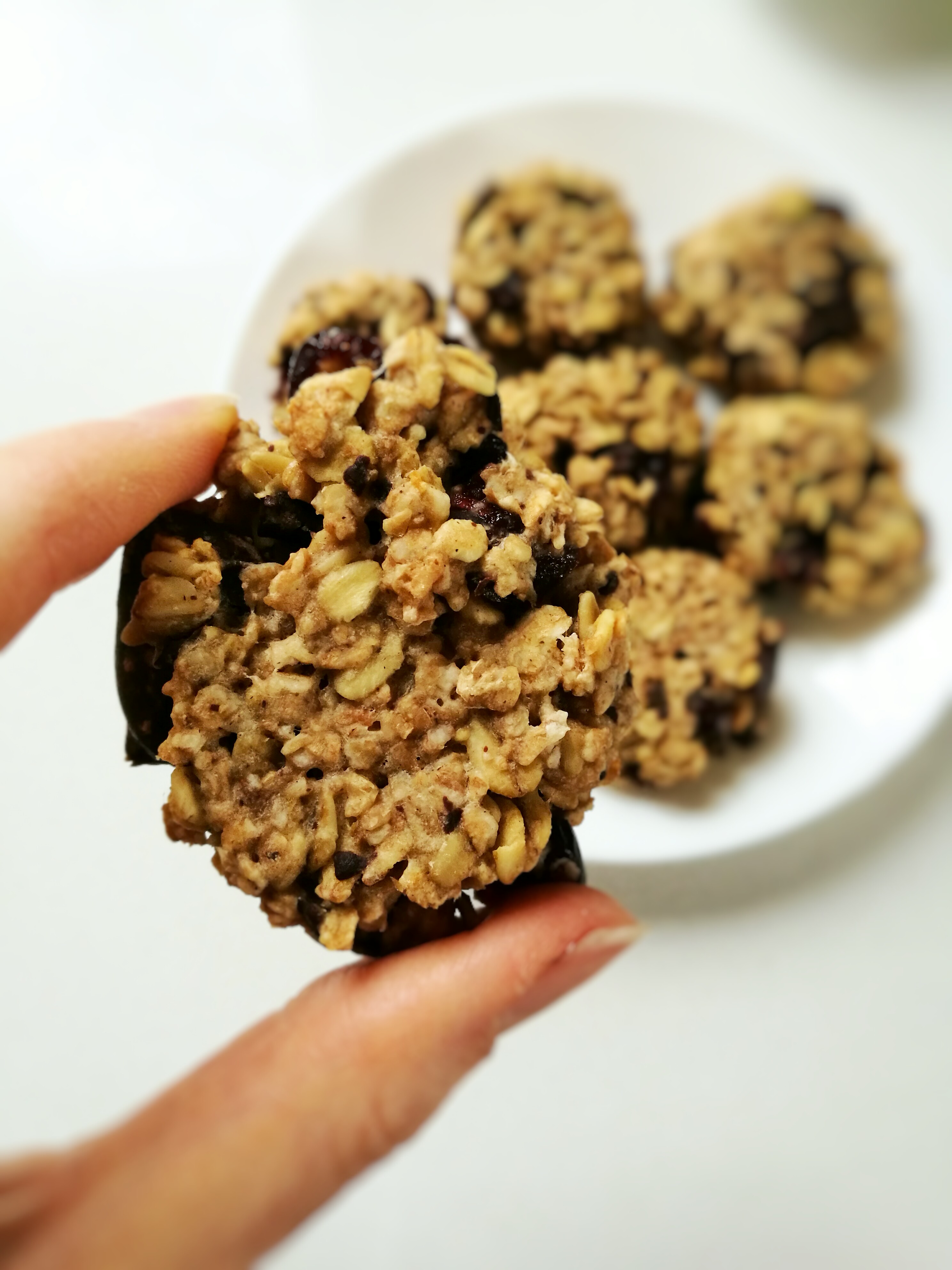 Dark Chocolate and Cranberry Oatmeal Cookie