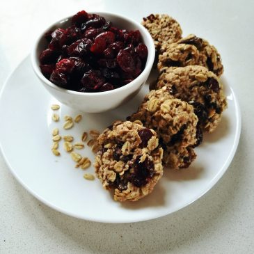 Dark Chocolate and Cranberry Oatmeal Cookies