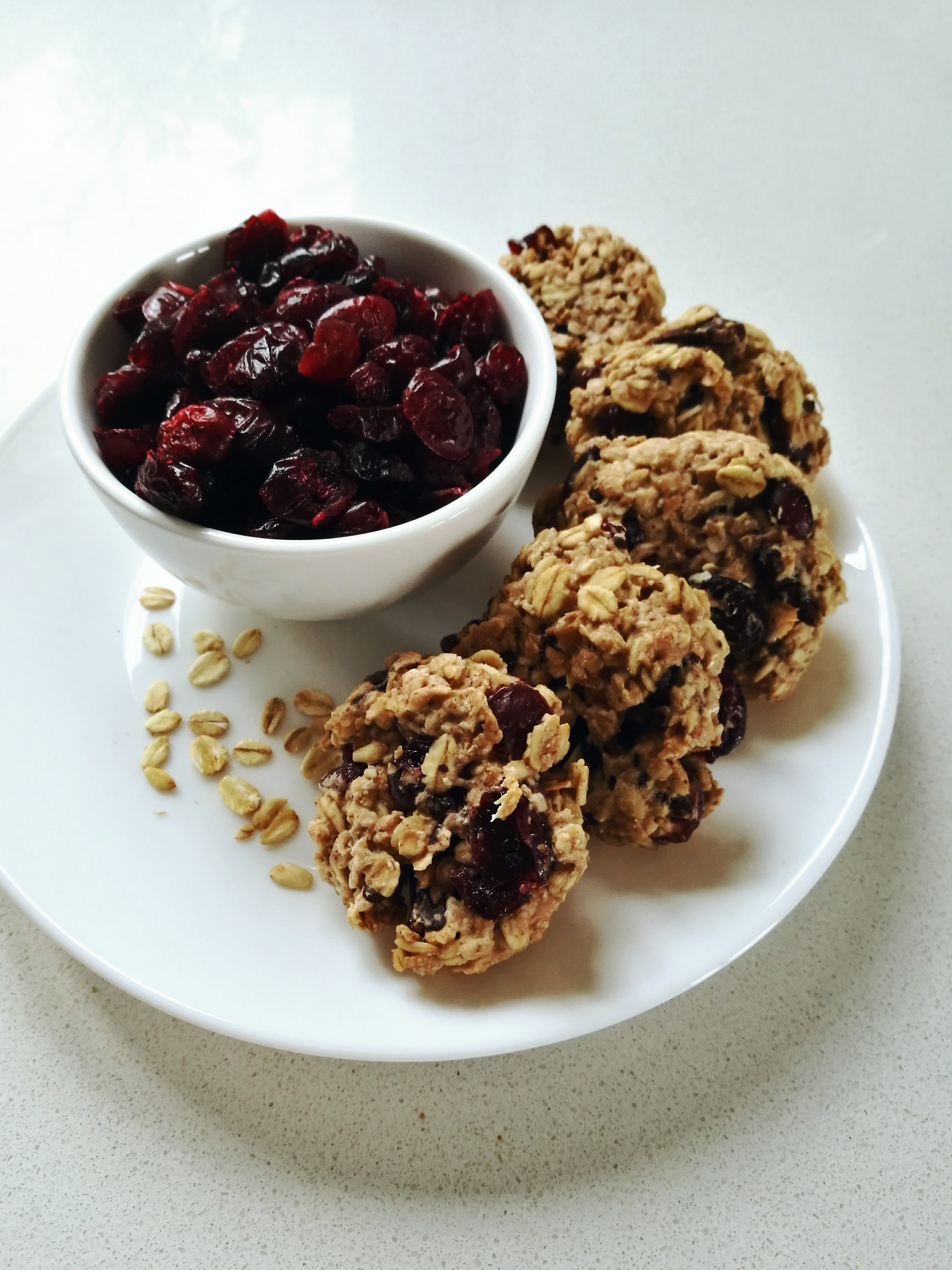 Dark Chocolate and Cranberry Oatmeal Cookies