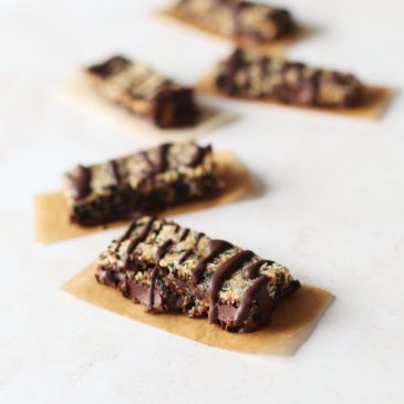 Black Sesame, Prune and Chocolate Bars (V&GF)